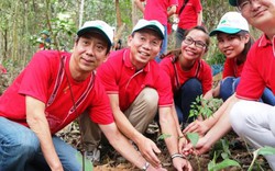 Hàng trăm người trồng rừng “vì một Việt Nam xanh”