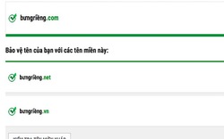 Các nhà đăng ký chính thức phân phối tên miền tiếng Việt