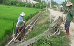 HTX Đại Hiệp - “bà đỡ” mát tay cho nông dân