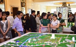 The Western Capital: Đỉnh cao hay vực sâu?