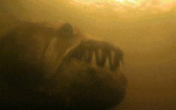 Loài "thủy quái" khổng lồ dữ tợn hơn "hung thần Amazon"