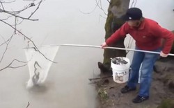 “Phát thèm" cách bắt cá, tôm đơn giản hiệu quả chưa từng thấy
