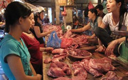Khảo sát riêng của Dân Việt: Ai đang "ăn" nhiều nhất vào giá lợn?