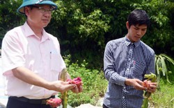Quảng Ninh: "Hạ nhiệt" gần 700 vụ việc "nóng"