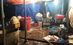 Hãi hùng phát hiện hàng trăm kg bắp chuối bào ngâm “chất độc” ở Sài Gòn