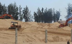 Vụ phá rừng phòng hộ tại Phú Yên: Thủ tướng yêu cầu làm rõ