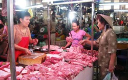 SỐC NẶNG: Giá lợn 10.000 đồng/kg, Hà Nội sẽ tiêu diệt bớt lợn nái