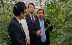 Hợp tác Việt Nam- Nhật Bản: Đào tạo nông dân kỹ năng quản trị và ứng dụng công nghệ cao