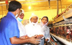Chủ tịch Lại Xuân Môn thăm trại gà công nghệ cao 1 triệu con của Ba Huân
