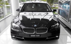 Tổng giám đốc công ty nhập khẩu ôtô BMW bị bắt