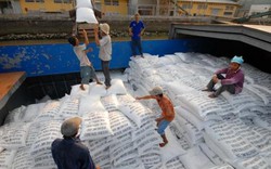 Gạo nội ế ẩm, rẻ mạt sao vẫn mua gạo ngoại giá tới 200.000 đ/kg?