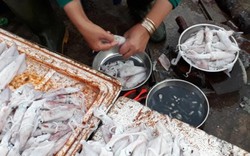 Quảng Trị: Chợ cháy hàng vì người dân đổ xô mua mực