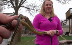 Mỹ: Mua nhà mới, phát hiện trăm con rắn bên trong