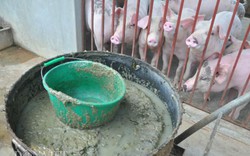 Không thể để giá lợn hơi giảm mà người dùng vẫn phải “gánh” giá cao