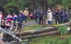 Vụ gãy trụ điện ở Kon Tum: Nạn nhân thứ 2 đã tử vong