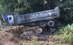 Tai nạn hy hữu ở Lạng Sơn: Xe tải đâm chết 9 con trâu rồi lao vực