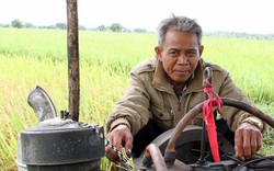 Anh Tá giúp làng cứu hàng tá lúa