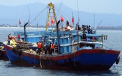 Kinh hoàng tàu giã cào phá biển: Sẽ cấm hẳn tàu hành nghề giã cào