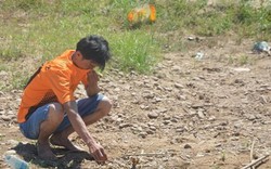Quảng Nam: Cá chết bốc mùi thối ở khe Đá Mài