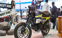 Honda Monkey 125 ở Việt Nam sẽ xuất sang châu Âu?