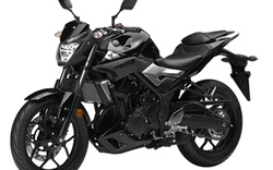Đánh giá chi tiết Yamaha MT-03: Chiếc naked bike cực ngầu
