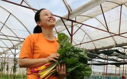 Cộng đồng "Sống xanh" của nàng Tiên ở thành phố tình yêu