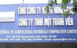 “Trùm đất vàng” Vigecam nợ hơn 61 tỷ đồng không có khả năng thu hồi