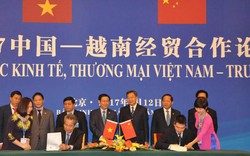 Thành lập 2 công ty liên doanh lúa gạo, nông sản Việt- Trung