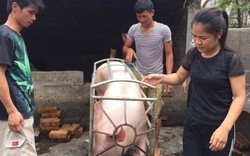 Chị Xuyến cảm ơn NTNN/Dân Việt giúp chị bán sạch lợn