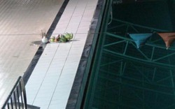 Nam sinh tử vong trong bể bơi Đại học Thể dục thể thao TP.HCM