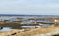 Bí thư Quảng Ngãi bác đề xuất đổ cát tạo bãi tắm tại Hang Câu