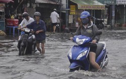 TP.HCM: Đưa thông tin ngập úng lên mạng