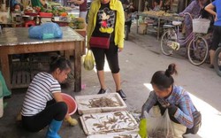 Vụ hắt luyn vào phản thịt: Chị Xuyến trở lại bán tôm cá