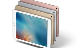 iPad Pro 10,5 inch sẽ được ra mắt vào tháng 6 tới