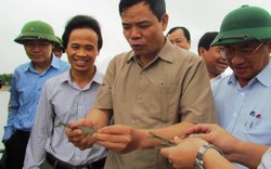 Bộ trưởng Cường đội mưa thăm đồng tôm tiền tỷ trên cát ở Hà Tĩnh