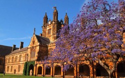 Vẻ đẹp choáng ngợp của trường ĐH lâu đời nhất nước Úc