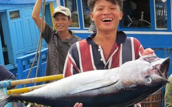 Cá ngừ Việt Nam đã có mặt tại gần 140 nước trên thế giới