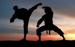 5 môn võ thuật truyền thống bị vạch trần bởi các võ sĩ MMA