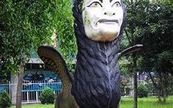Khu vườn toàn "quái thú" độc, lạ và dị nhất Việt Nam