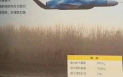 UAV lai tên lửa, vũ khí chống tiếp cận trên biển mới của Trung Quốc
