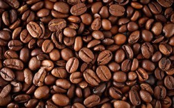 Giá nông sản 24.5: Cà phê giảm giá sốc, tiêu không có hi vọng tăng đột biến