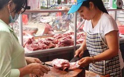 Nông dân xin mở quầy thịt cạnh siêu thị để "cứu" 2.000 con heo tồn