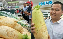 Tròn mắt ngắm củ cải sạch khổng lồ ở chợ xứ Hàn