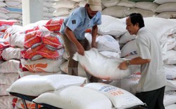 Bangladesh sẽ mua của Việt Nam 1 triệu tấn gạo/năm