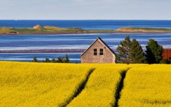 Khám phá vẻ đẹp tiềm ẩn của tỉnh đảo nhỏ nhất Canada