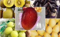 Kiwi vàng, xoài đỏ, nho ngón tay thay vải, mận cúng Tết Đoan Ngọ