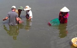 Nông dân Trường Định bán tôm không kịp nhờ nuôi tôm "3 không"