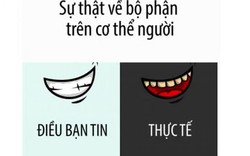 Sự thật về các bộ phận cơ thể hiếm người biết