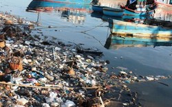 Ninh Thuận: Rác thải tràn ngập bờ biển