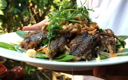Cá thòi lòi trộn gỏi lá kìm không ăn thì "tiếc hùi hụi" ở Sài Gòn